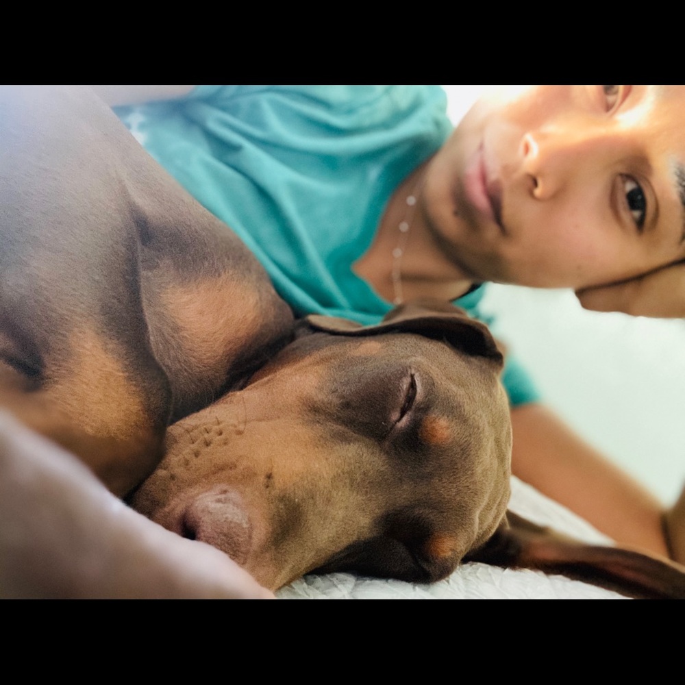 Meet your Posher, Stefani